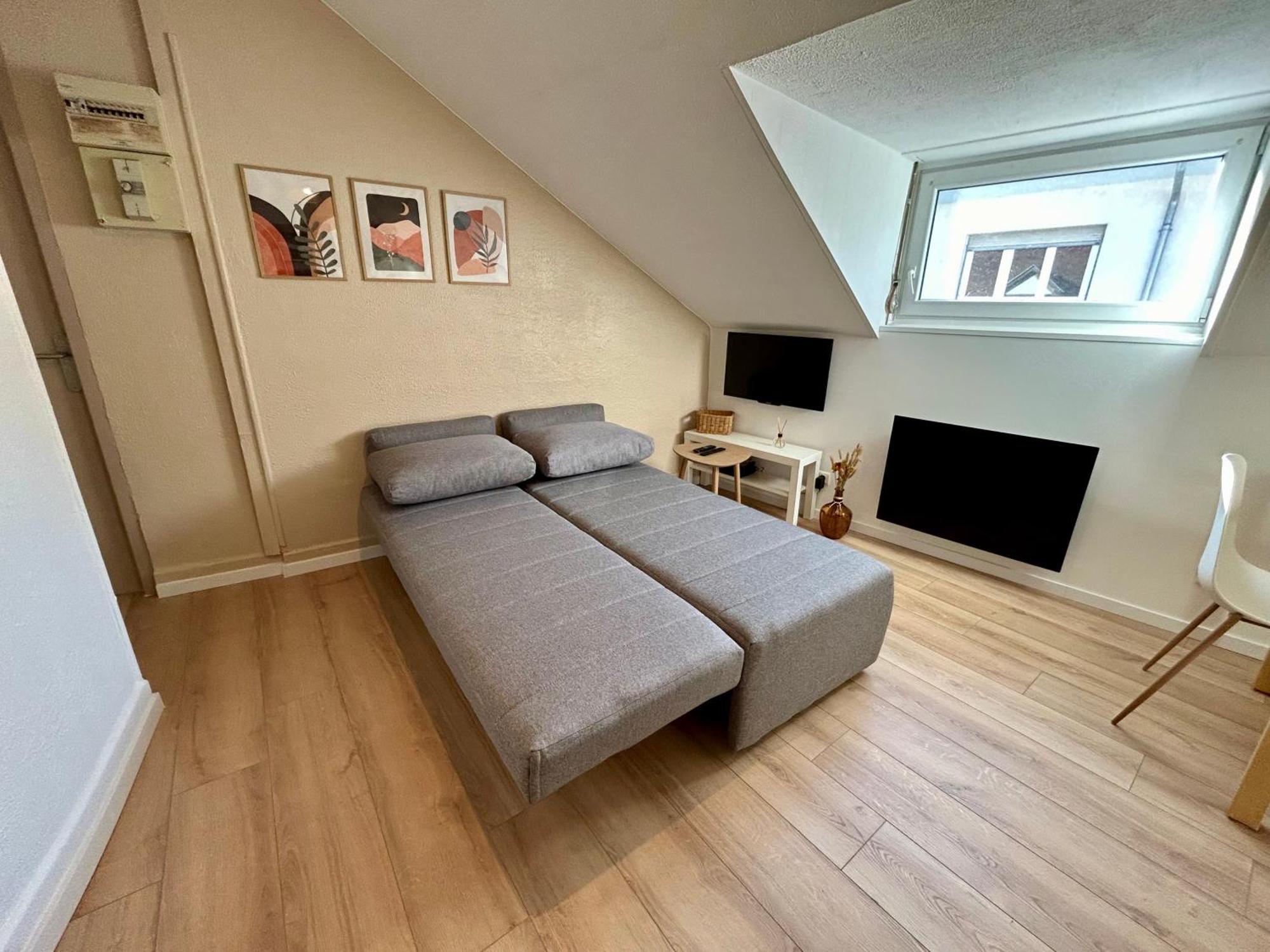 Ferienwohnung Douce Agathe - Duo-Groupe, Chaleureux, Tram 200M, Centre 10Min Straßburg Exterior foto